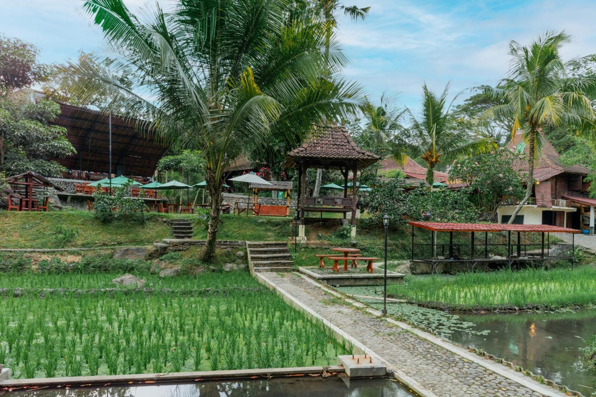 Padi Heritage Hotel Маланг Экстерьер фото